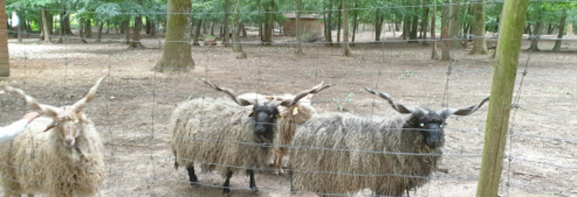 Parc animalier de Janvry
