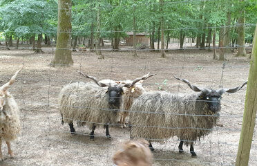 Parc animalier de Janvry