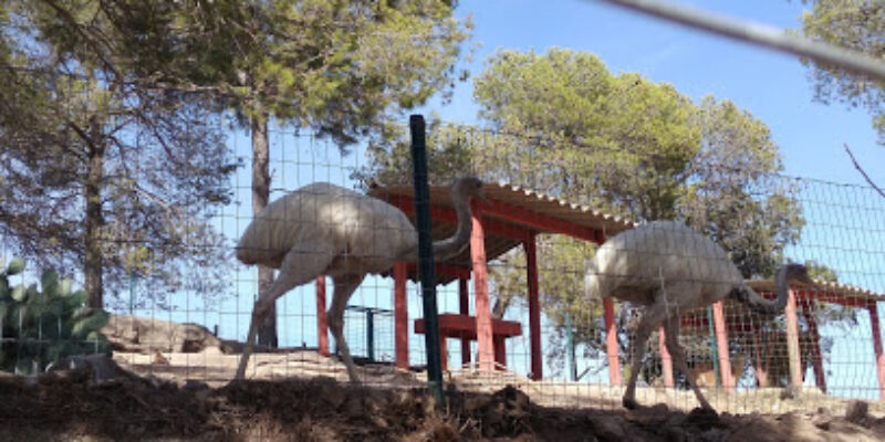 Parc Zoologique de Fréjus