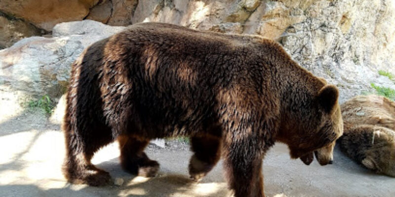 Zoo de la Barben