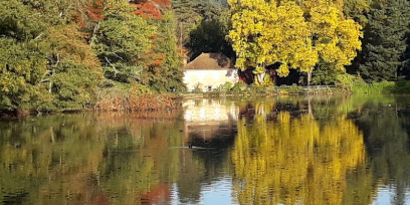 Arboretum Domanial de Pézanin