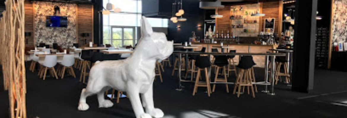 Le Bowl Dog  Sainte-Anne-sur-Brivet