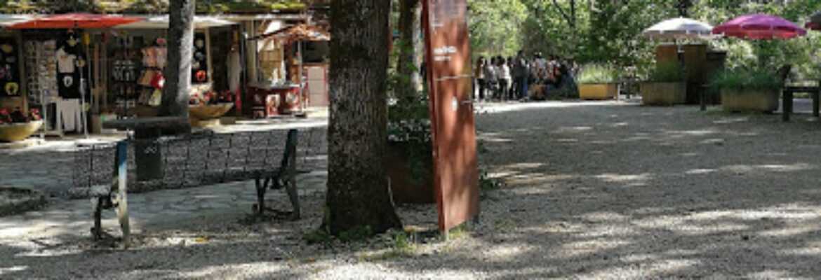 Grotte du Pech Merle