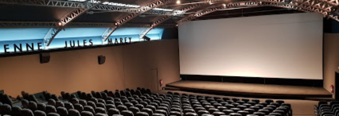 Cinéma des Cinéastes