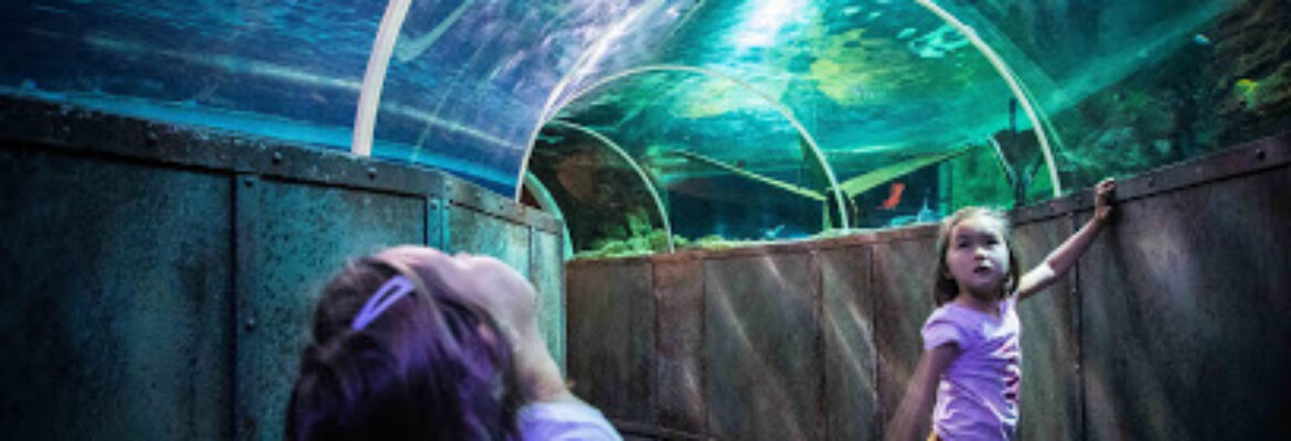 Grand Aquarium de Touraine