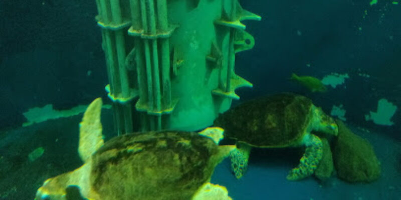 Grand Aquarium Saint Malo