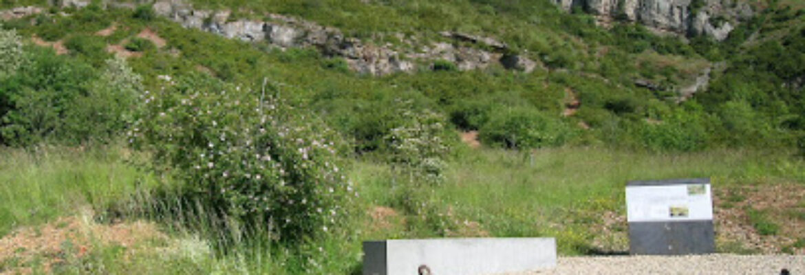 Jardin archéologique et botanique Solutré-Pouilly