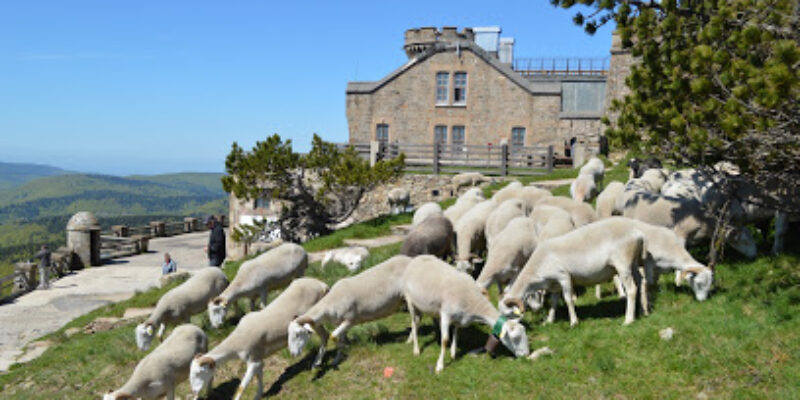 Observatoire du Mont Aigoual