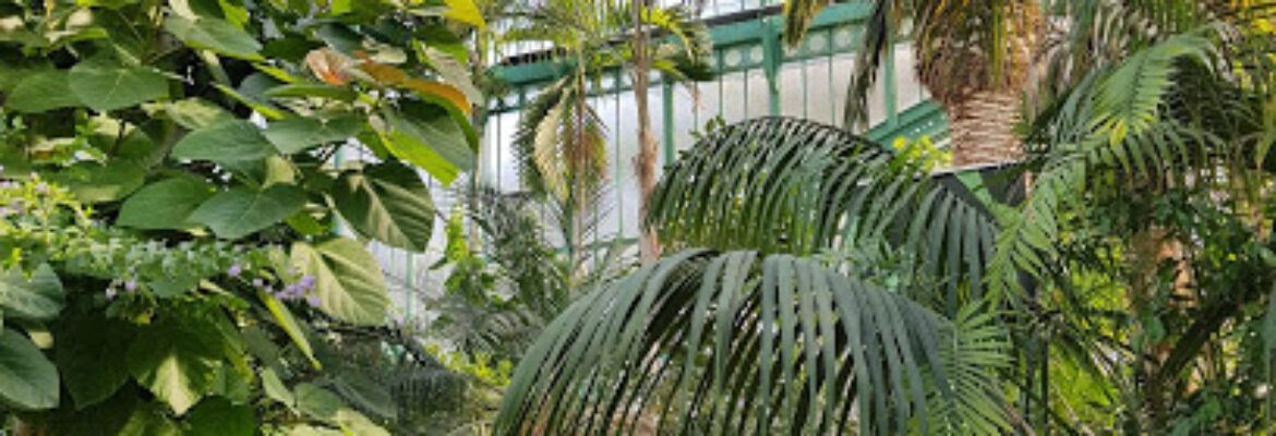 Jardin des Serres d’auteuil