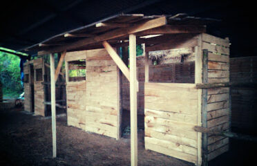 L’Empire du Jeu Paintball