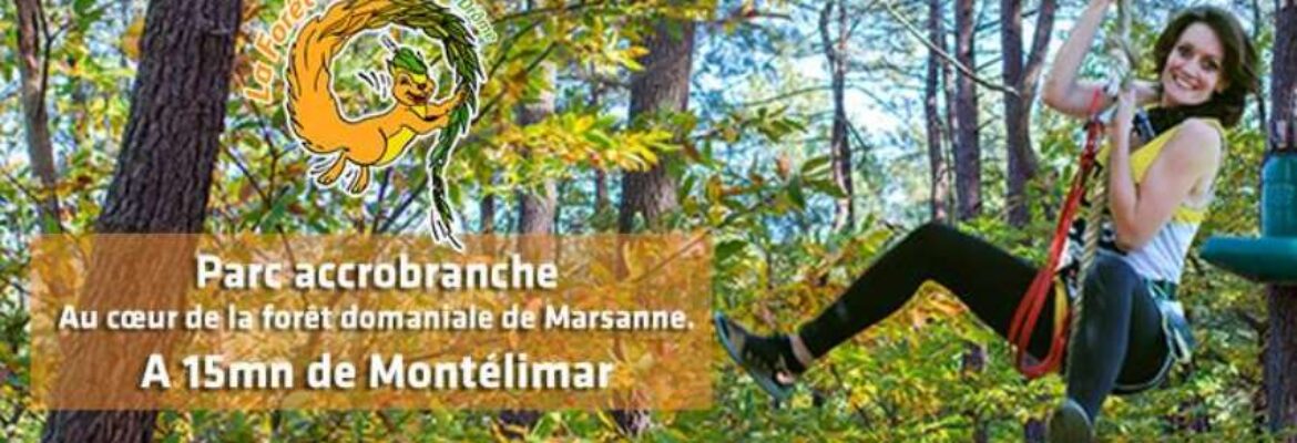 Accrobranche La Forêt de Robin Marsanne