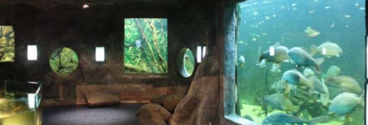Aquarium de Pescalis