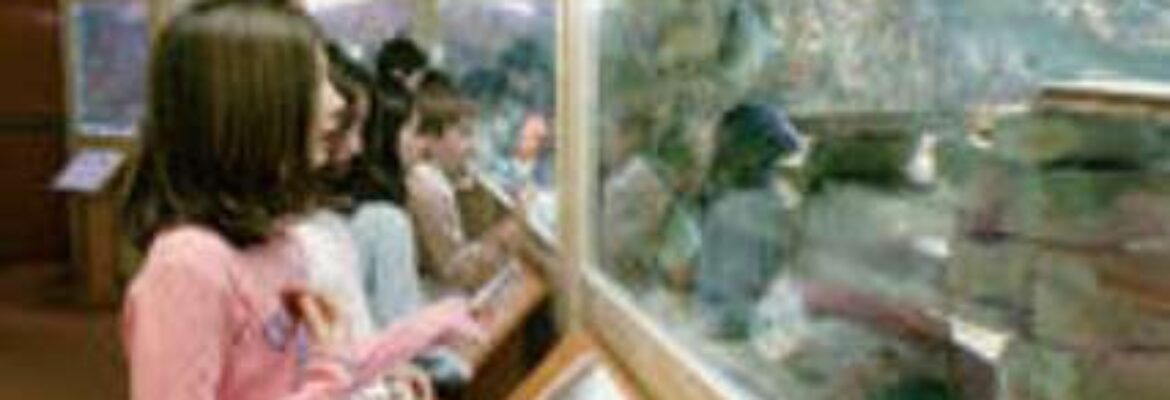 Aquariums du Naturoscope de Puteaux