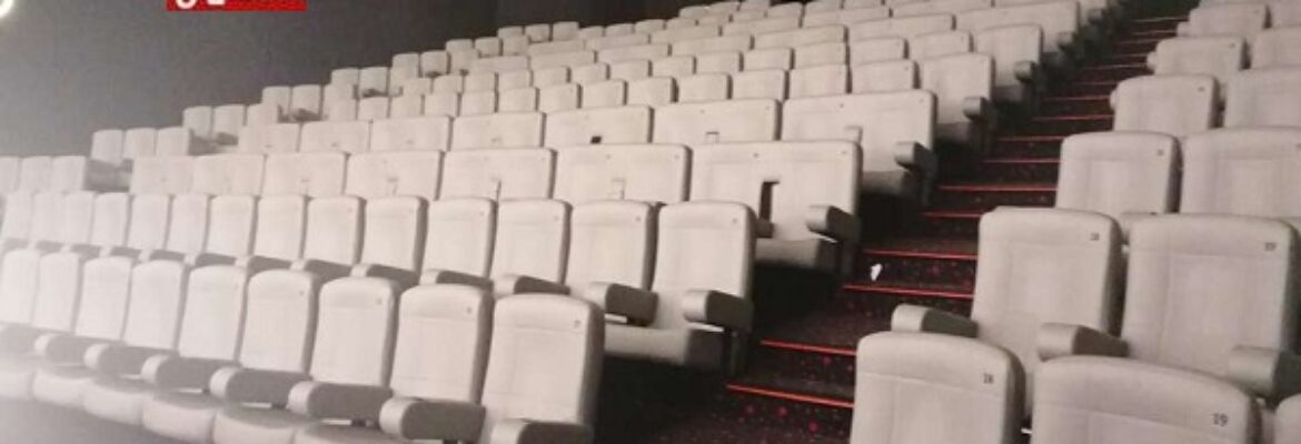 Cinéma le Grand Palais Roanne