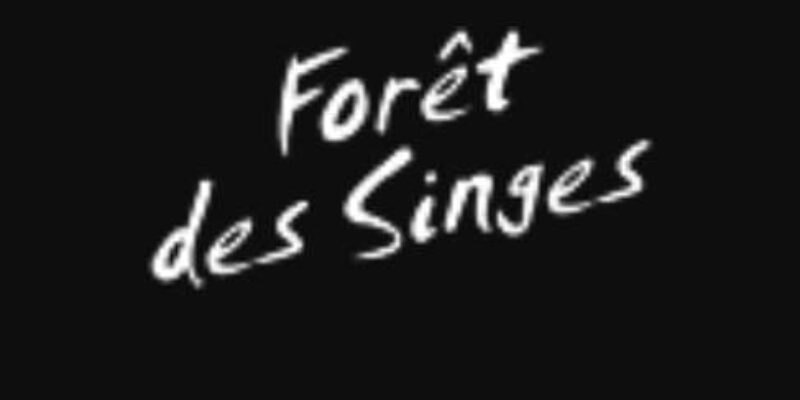 La Forêt des Singes