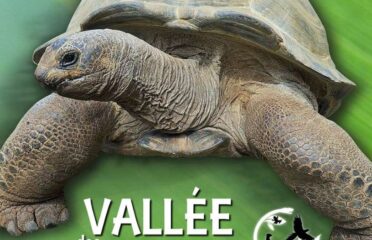 La Vallée des Tortues