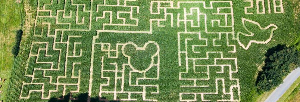 Labyrinthe Maïs Foucherans