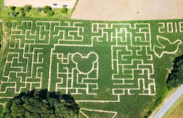 Labyrinthe Maïs Foucherans