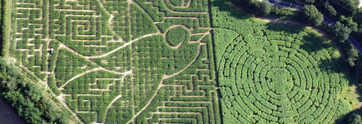 Labyrinthe végétal L@byleo