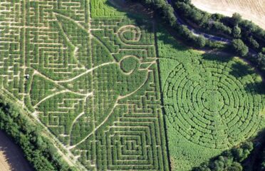 Labyrinthe végétal L@byleo