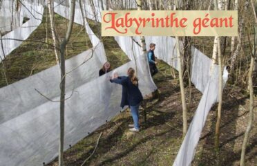 Le Labyrinthe de Sherwood Parc