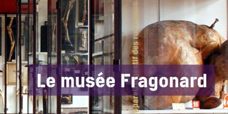 Musée Fragonard d’Alfort