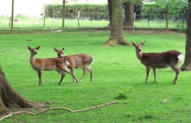 Parc Des Vernaux
