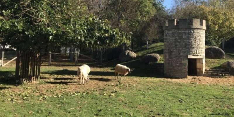 Parc Mouton Village