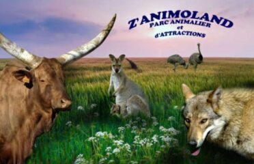 Z’Animoland