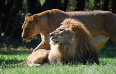 Zoo de la Barben