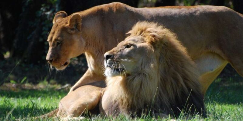Zoo de la Barben