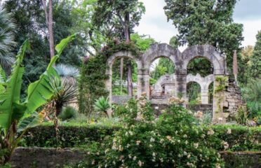 Jardin des plantes de Montpellier