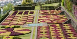 Jardin botanique