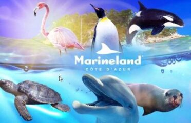 Marineland