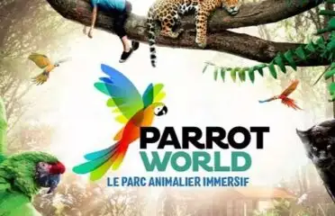 Parrot world