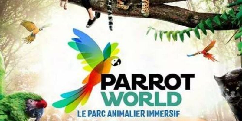 Parrot world