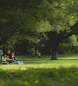 14 activités de plein air à faire en famille pendant les vacances