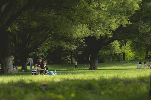 14 activités de plein air à faire en famille pendant les vacances