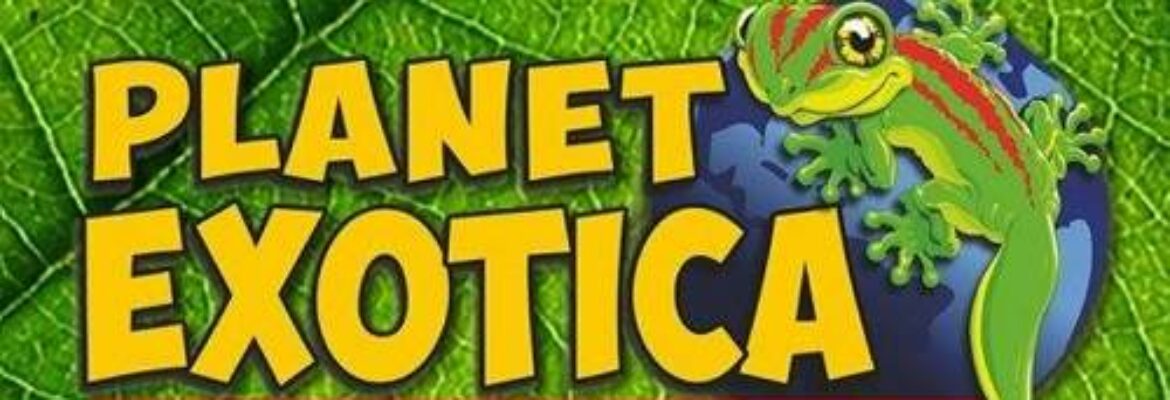 Planet Exotica