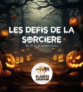 les défis de la sorcière envahissent le parc animalier planète sauvage pour halloween