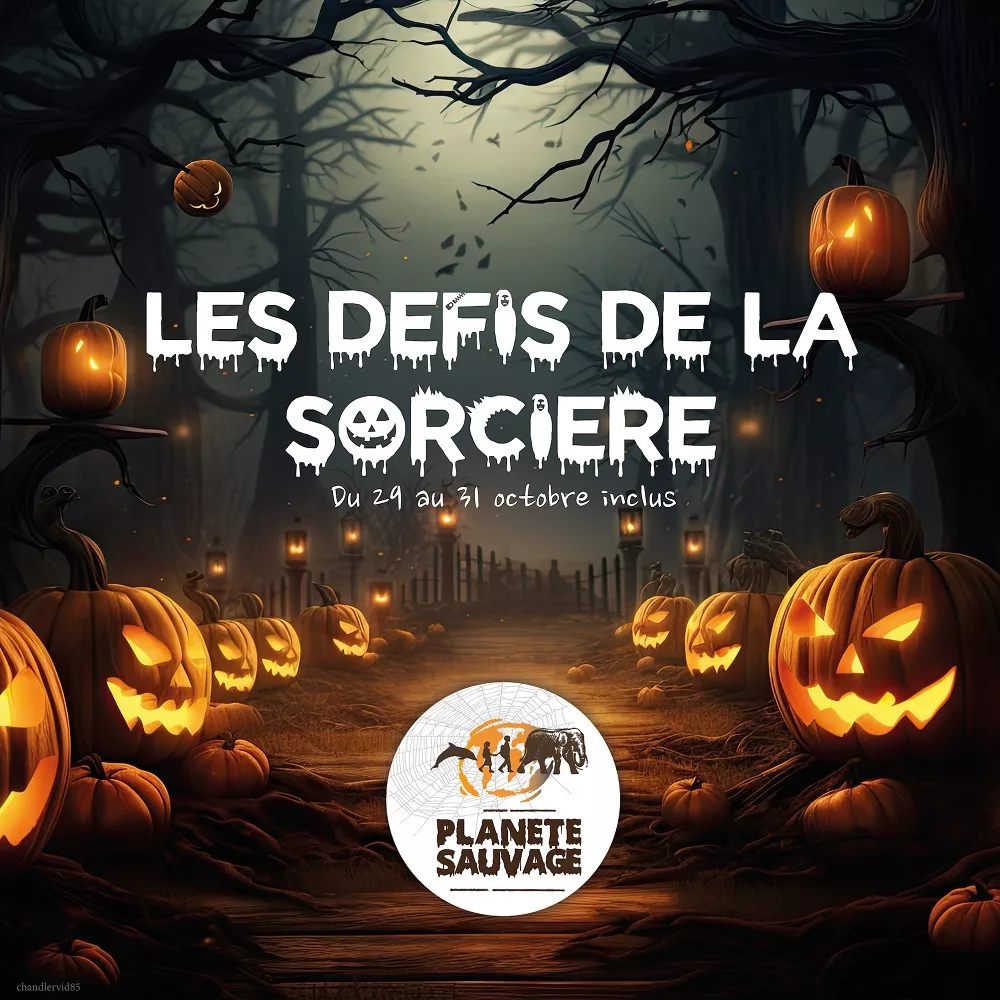 les défis de la sorcière envahissent le parc animalier planète sauvage pour halloween