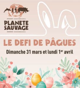 le plus grand safari de france a planète sauvage pour week end de pâques